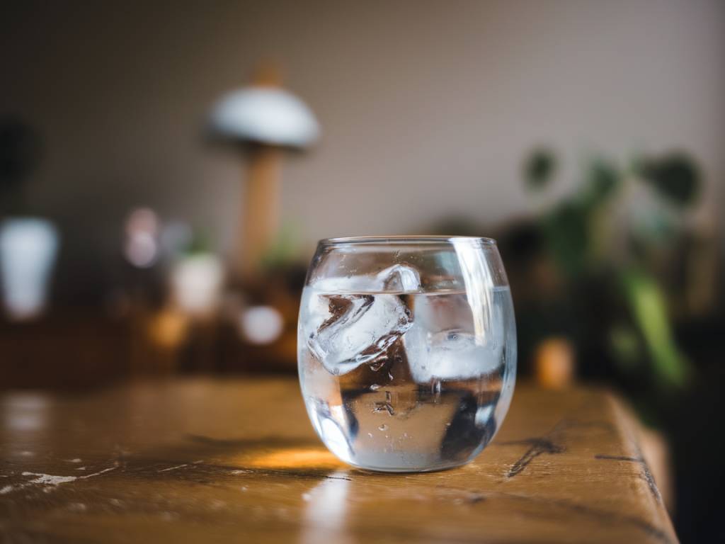 Água gelada ou temperatura ambiente: qual a melhor escolha para você